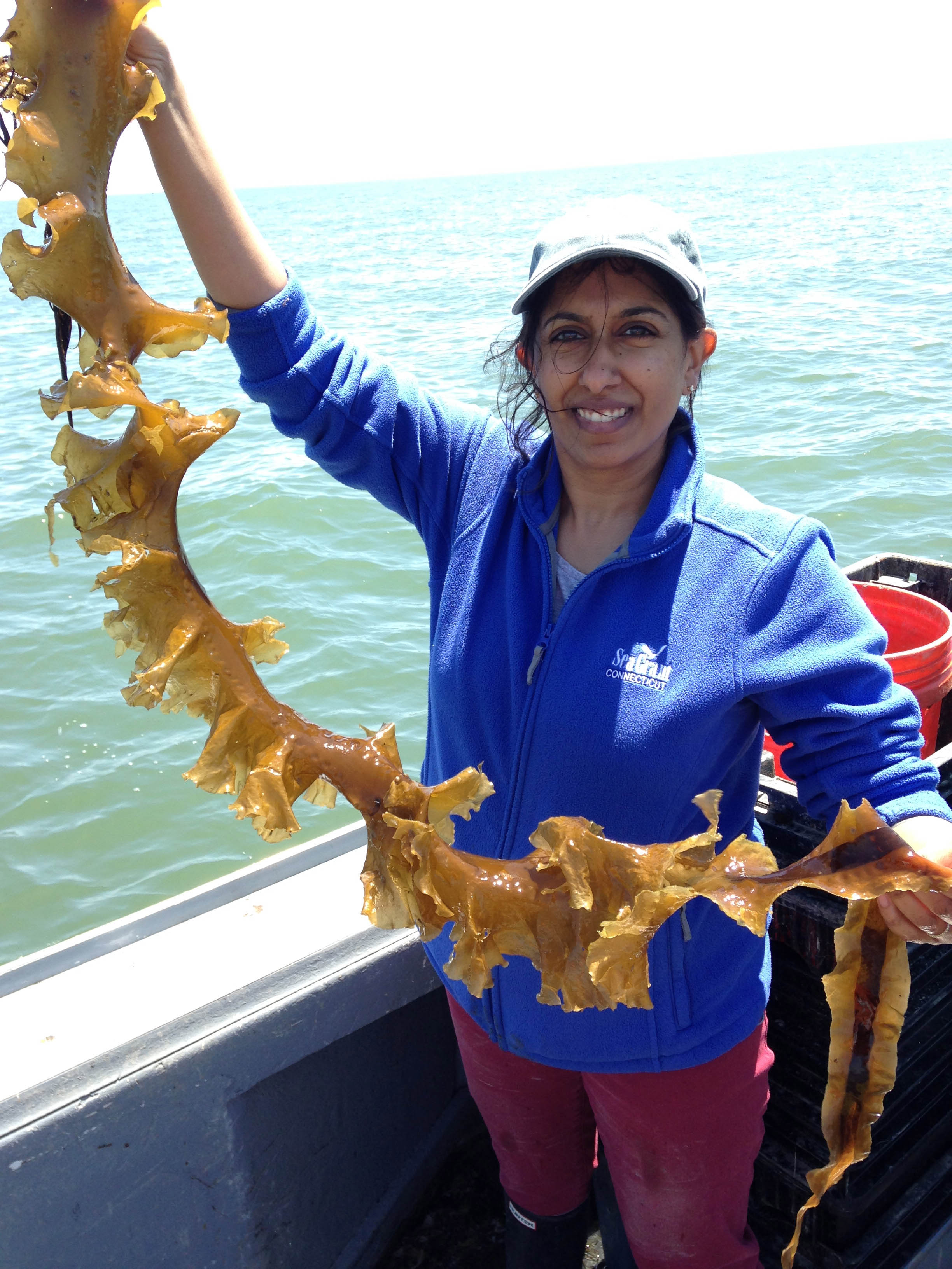 Anoushka Concepcion and Long Island Sound kelp