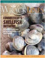 Wrack Lines 16-01 cover