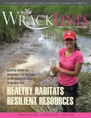 Wrack Lines 16-2 cover