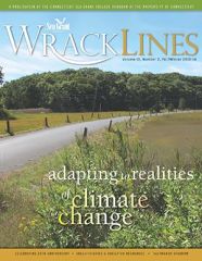 Wrack Lines 13-02 cover