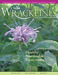 Wrack Lines 15-01 cover