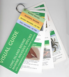 Invasive Species keyring