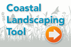 coastal-landscaping-tool