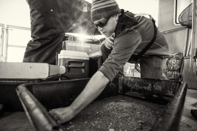 Chris Murray, a member of the research team, checks the contents of a sediment grab for sand lance. Photo: Jacob Snyder / Red Skies Photography