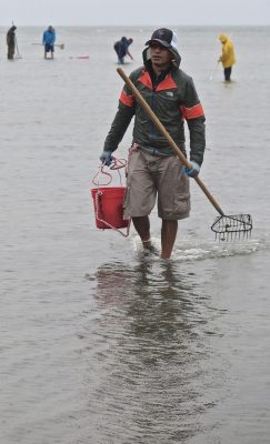 About 100 people turned out for the annual clamming clinic sponsored by the Fairfield Shellfish Commission on May 19.