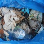 Single-use plastic bottles and lids like those collected by Mystic Aquarium summer campers are the focus of the #DontTrashLISound campaign.