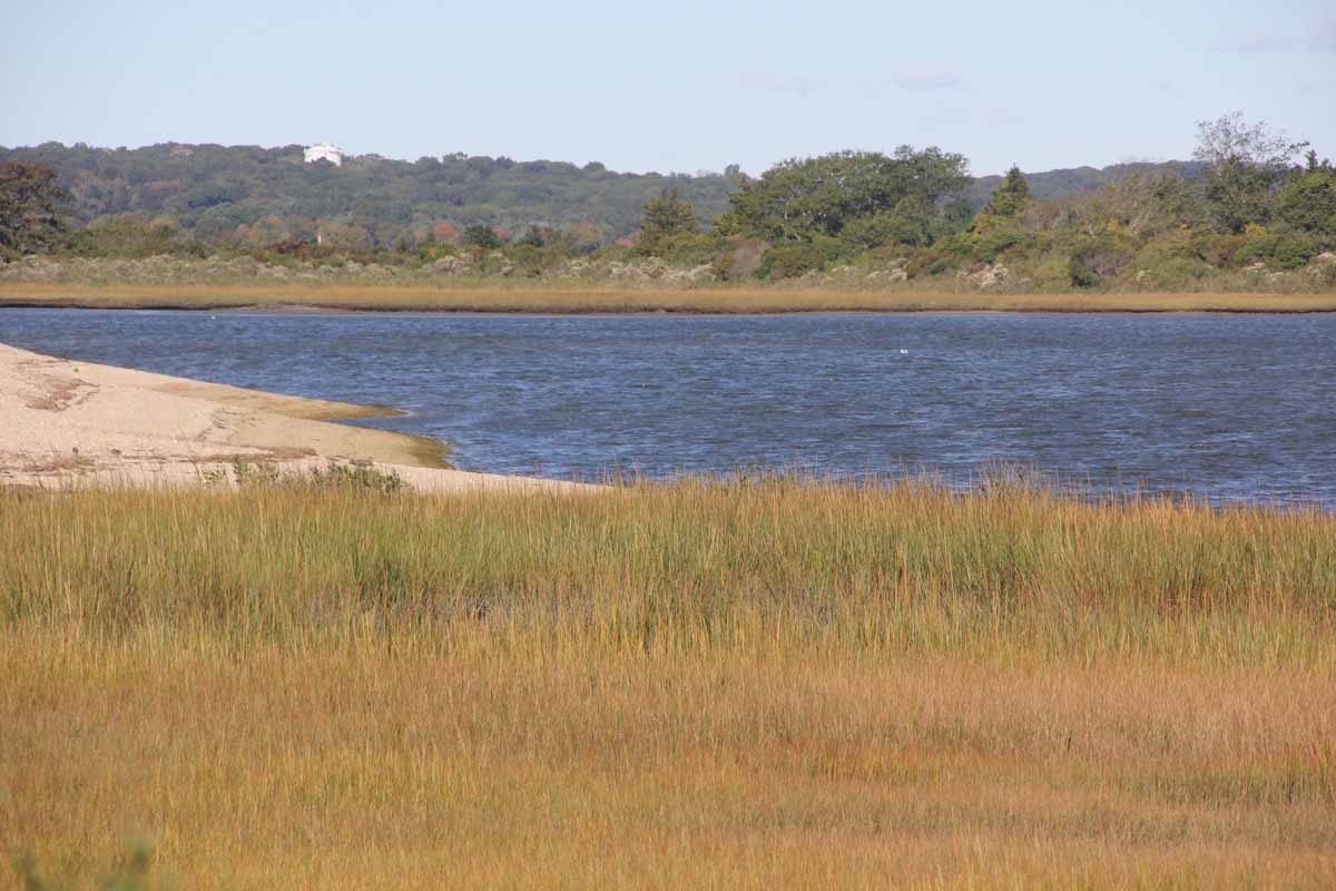 The Poquonnock River flows past salt marshes at Bluff Point State Park.