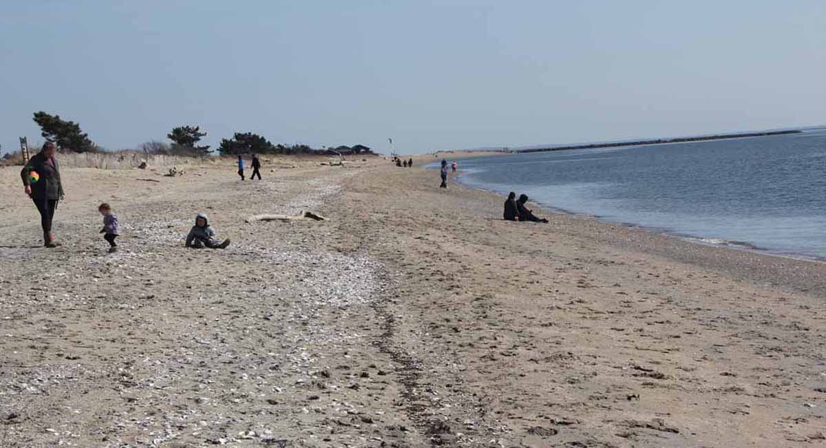 Long Island Sound Blue Plan Debuts Feedback Sought