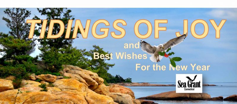 2019 holiday card from Connecticut Sea Grant