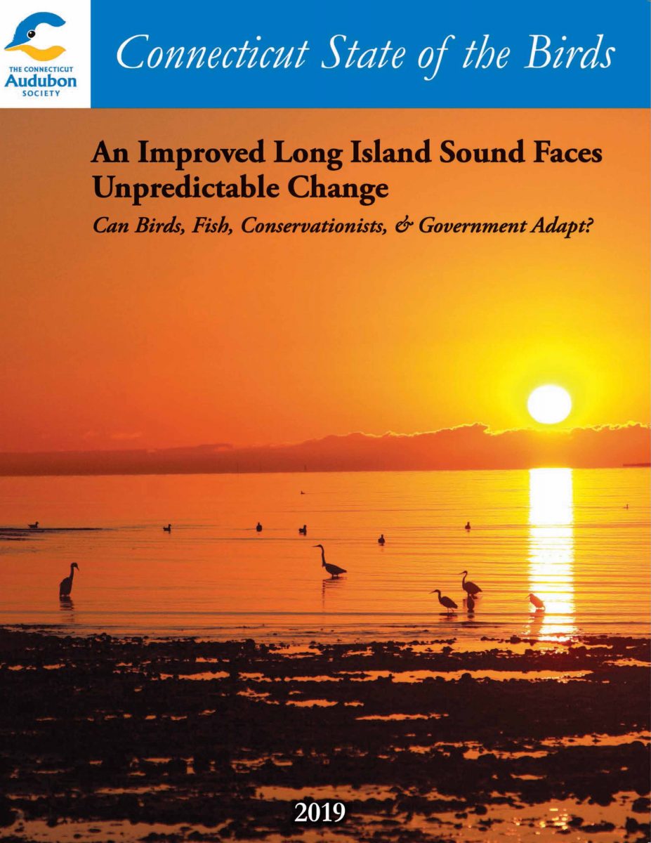 Cover of the 2019 Connecticut State of the Birds report.
