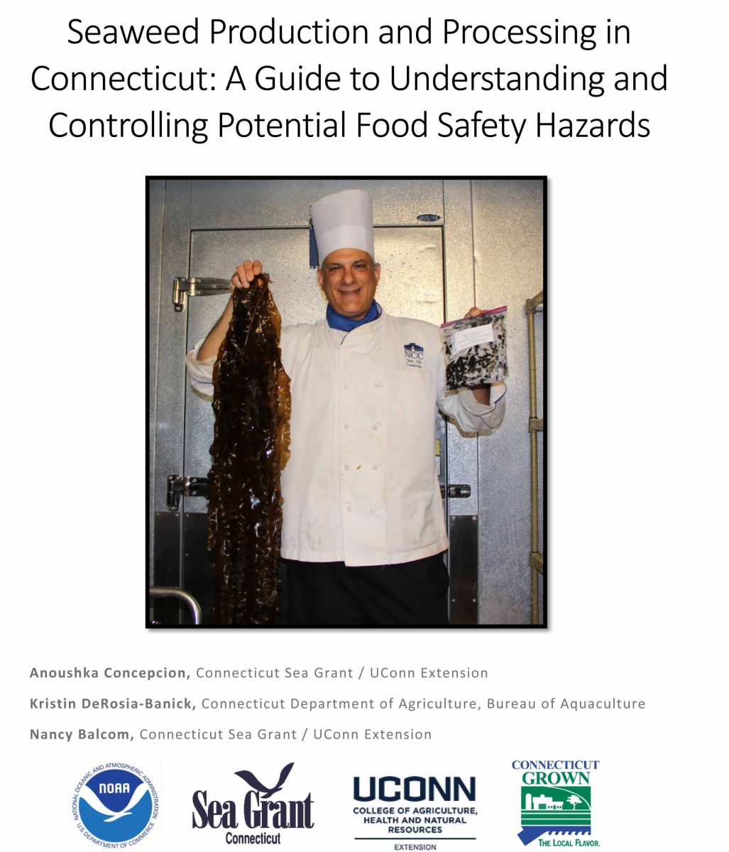 Cover of seaweed hazards guide