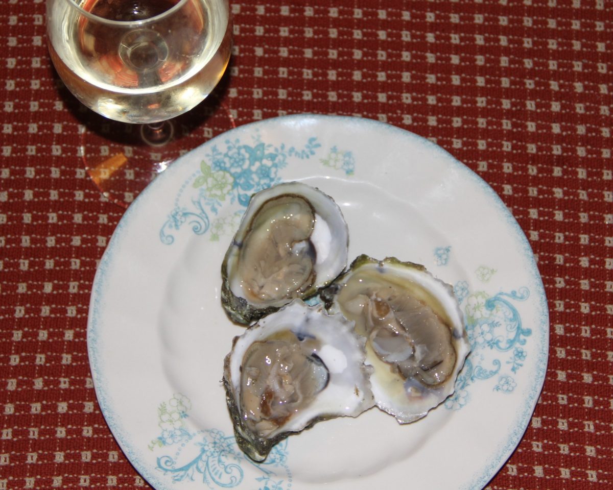 Fresh oysters on a plate