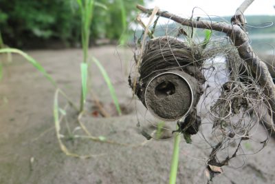 Empty can tangled in fishing line in Old Saybrook.
