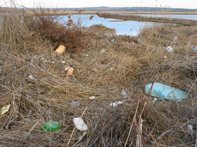Chunks of Styrofoam are strewn among marsh grass in Old Saybrook.