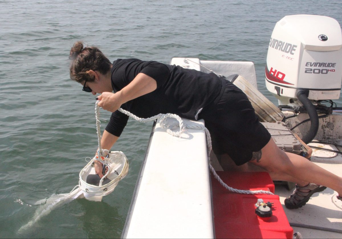 Kristin Russo, environmental analyst at the state Department of Agriculture Bureau of Aquaculture, collects a water sample in Milford using a plankton net in June.