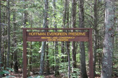 A sign marks the entrance to the Hoffman Evergreen Preserve in Stonington.