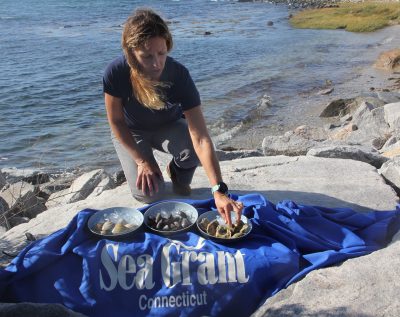 Tessa Getchis shows samples of three species of shellfish found in Long Island Sound, clams, mussels and oysters.