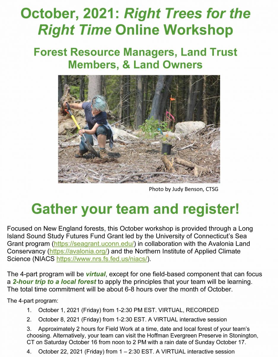 "Right Trees for the Right Time" workshop flier