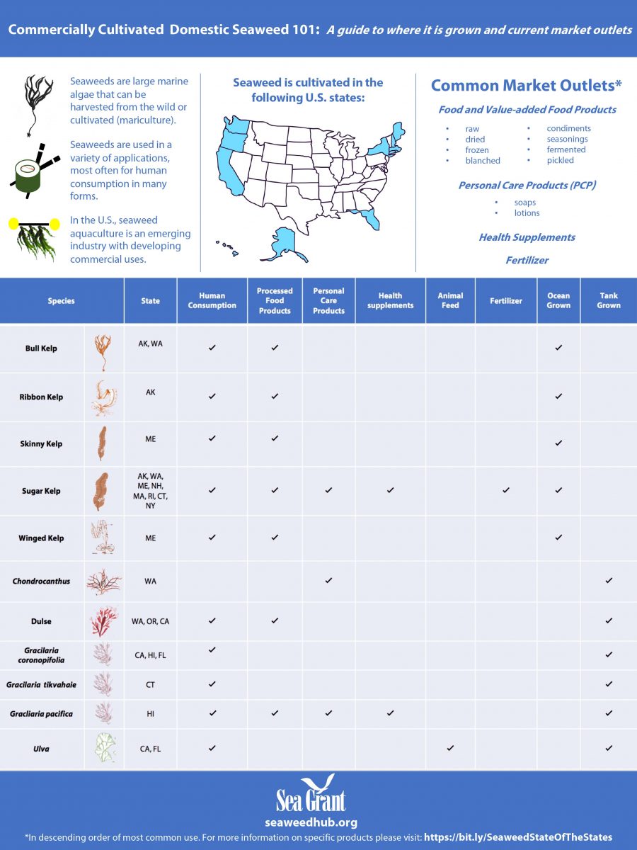 Commercially Cultivated Domestic Seaweed infographic