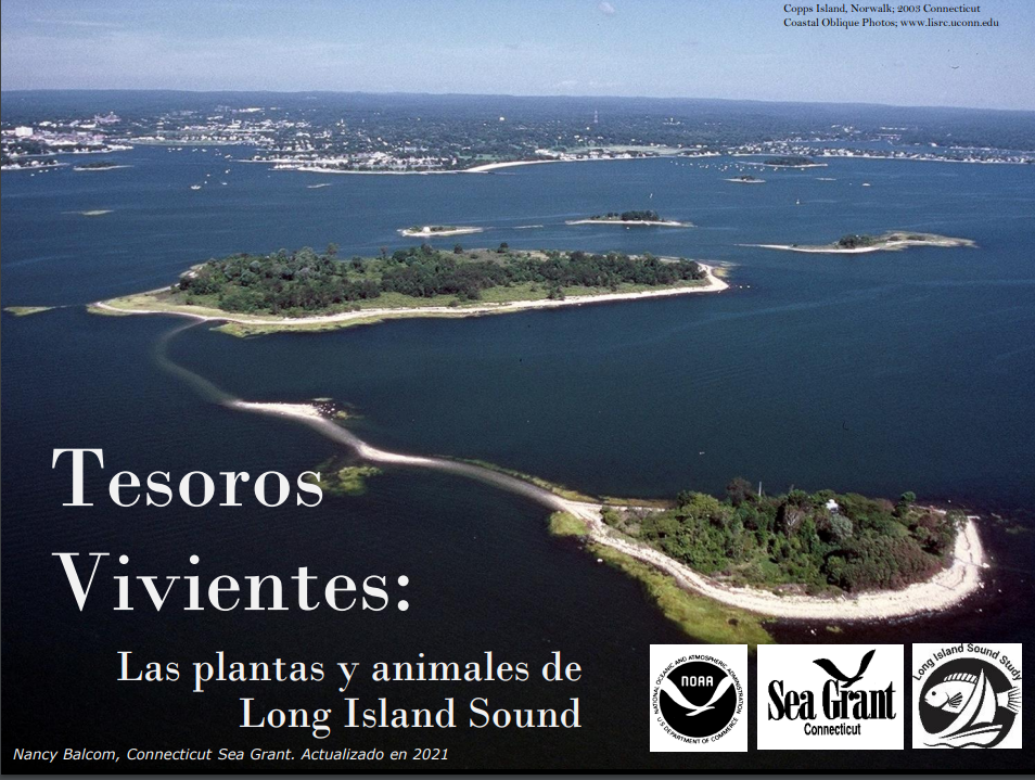 Tesoros Vivientes title slide