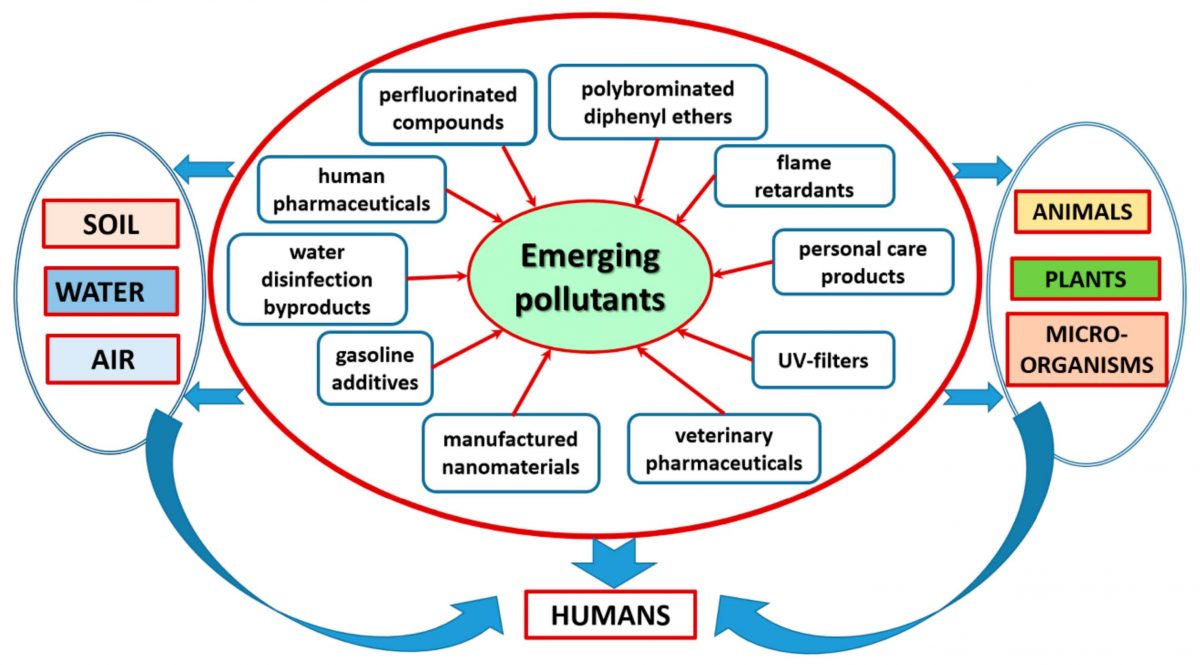 Infographic showing the sources and pathways of emerging pollutants in the environment