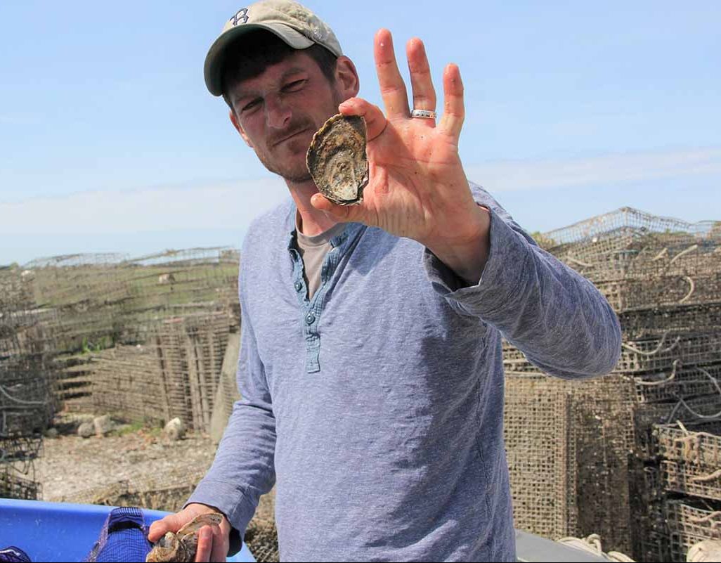 Michael Gilman holds one of the oysters he harvested earlier that day at Indian River Shellfish.