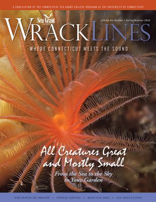 Cover of Spring-Summer 2022 issue of Wrack Lines magazine with a photo of a large-eyed feather duster worm