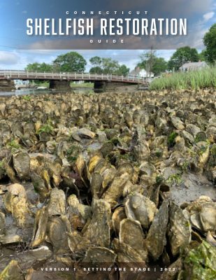 Cover of Connecticut Shellfish Restoration Guide