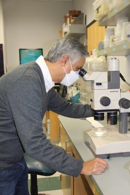 Researcher Hans Dam examines copepod under the microscope.