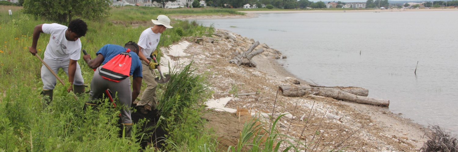A living shoreline project supported by CTSG was created at Stratford Point.