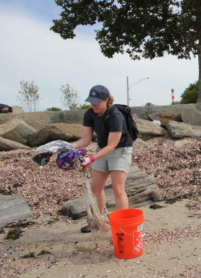 Jessica LeClair, Long Island Sound outreach coordinator for Connecticut Sea Grant, picks a bunch of mylar balloons off the beach at Seaside Park.