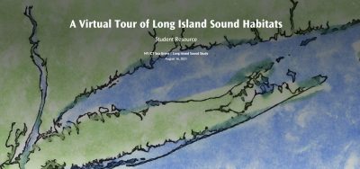 Screen-grab image from Long Island Sound Habitats StoryMap