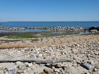 A portion of the living shoreline project in the Fenwick section of Old Saybrook is seen shortly after its recent completion.