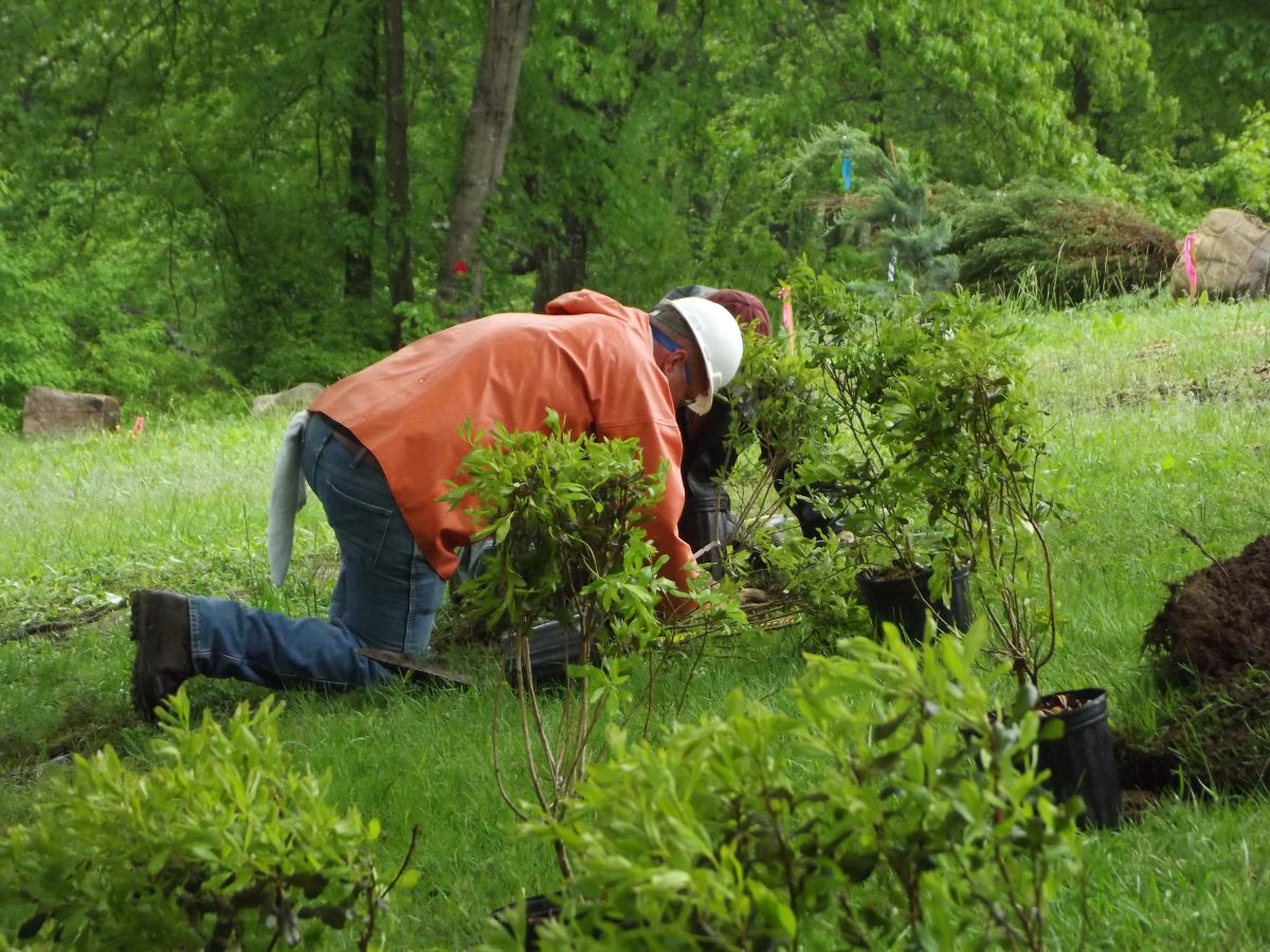 Volunteers planting a riparian buffer.