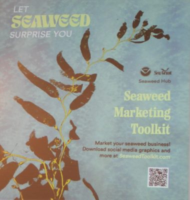 The "Let Seaweed Surprise You" marketing campaign includes a toolkit that is being made available to seaweed businesses.