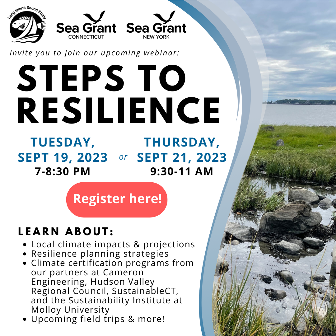 Flier for Steps to Resilience workshop